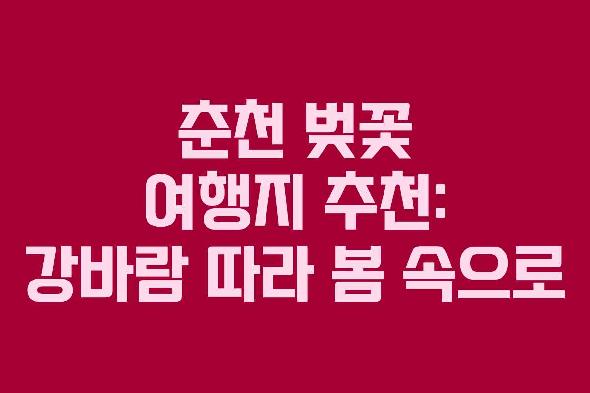 춘천 벚꽃 여행지 추천: 강바람 따라 봄 속으로