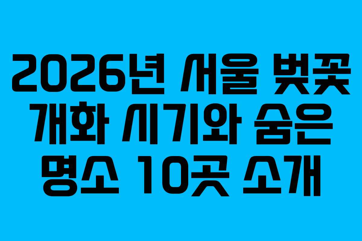 2026년 서울 벚꽃 개화 시기와 숨은 명소 10곳 소개