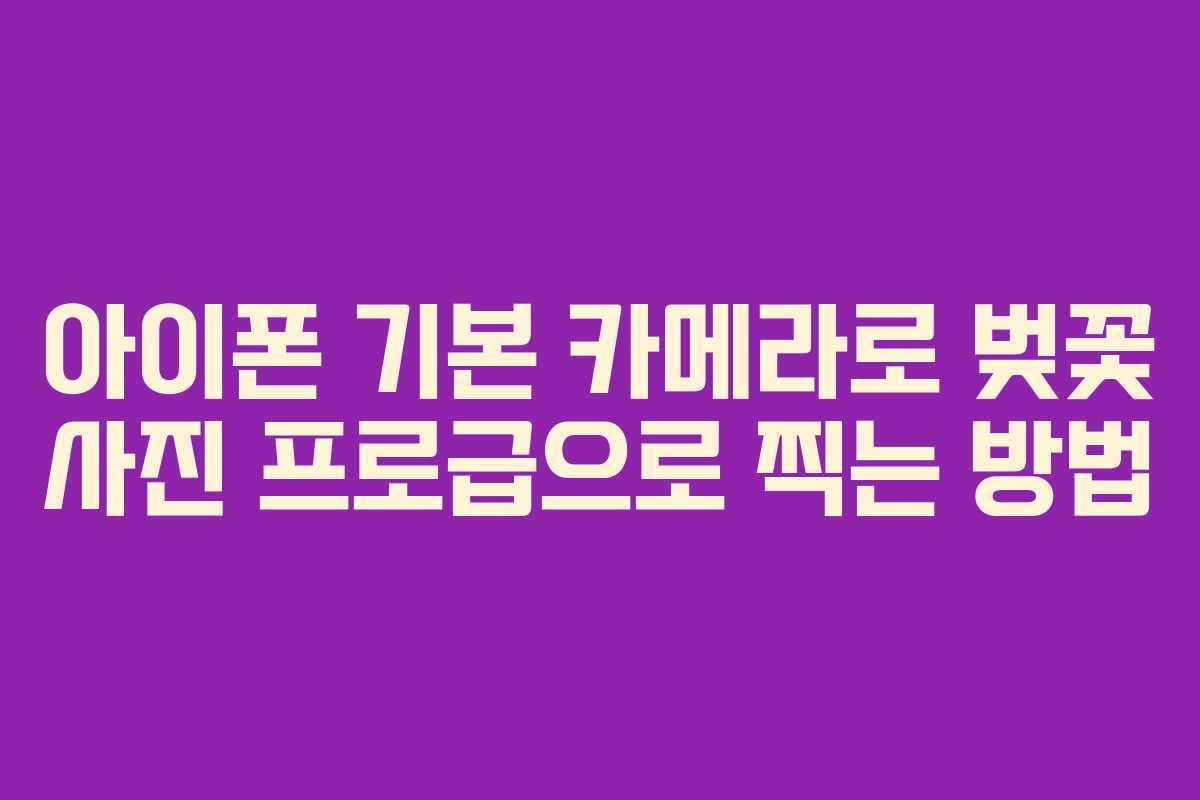 아이폰 기본 카메라로 벚꽃 사진 프로급으로 찍는 방법