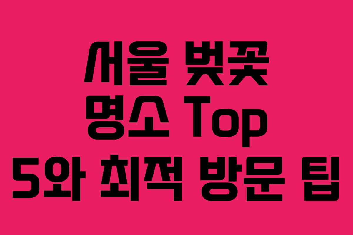 서울 벚꽃 명소 Top 5와 최적 방문 팁