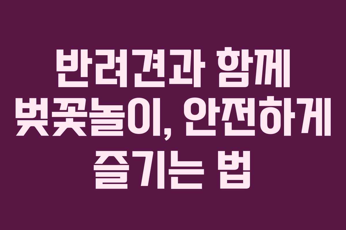 반려견과 함께 벚꽃놀이, 안전하게 즐기는 법