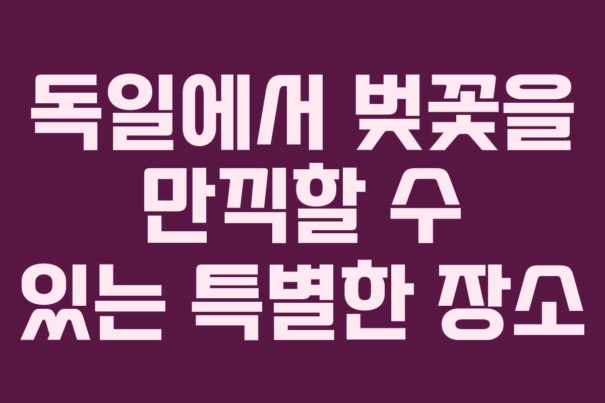독일에서 벚꽃을 만끽할 수 있는 특별한 장소