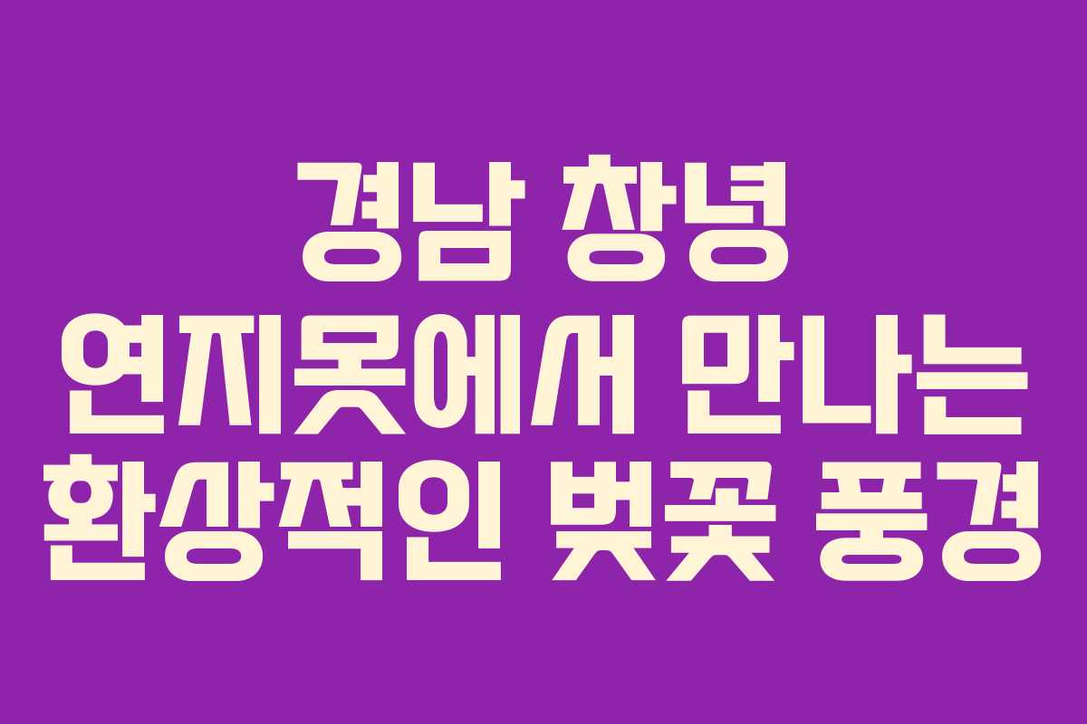 경남 창녕 연지못에서 만나는 환상적인 벚꽃 풍경