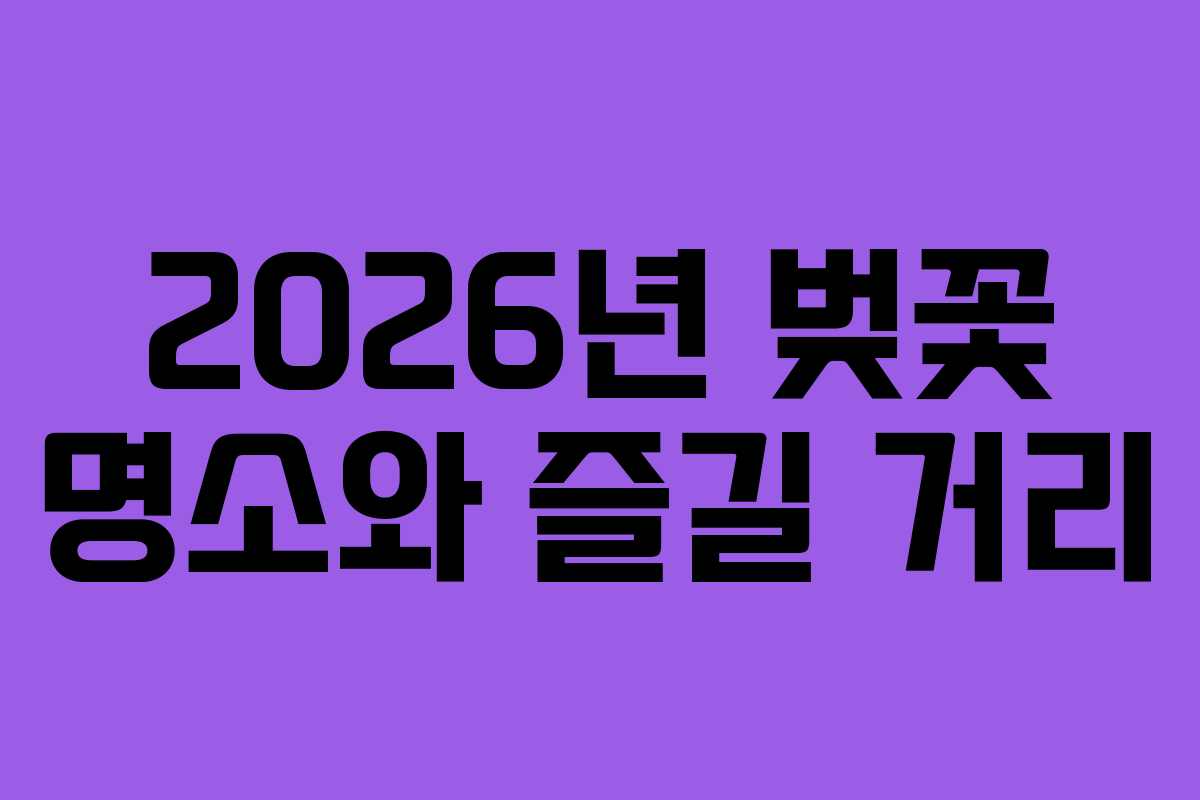 2026년 벚꽃 명소와 즐길 거리