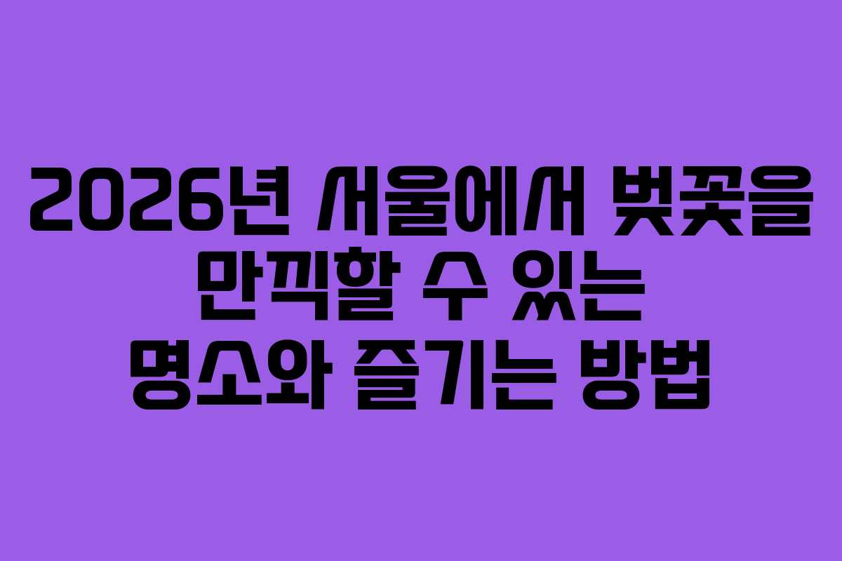 2026년 서울에서 벚꽃을 만끽할 수 있는 명소와 즐기는 방법
