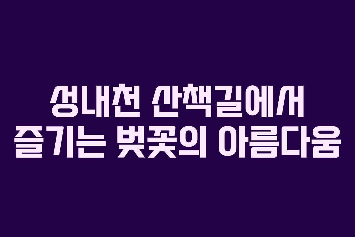 성내천 산책길에서 즐기는 벚꽃의 아름다움