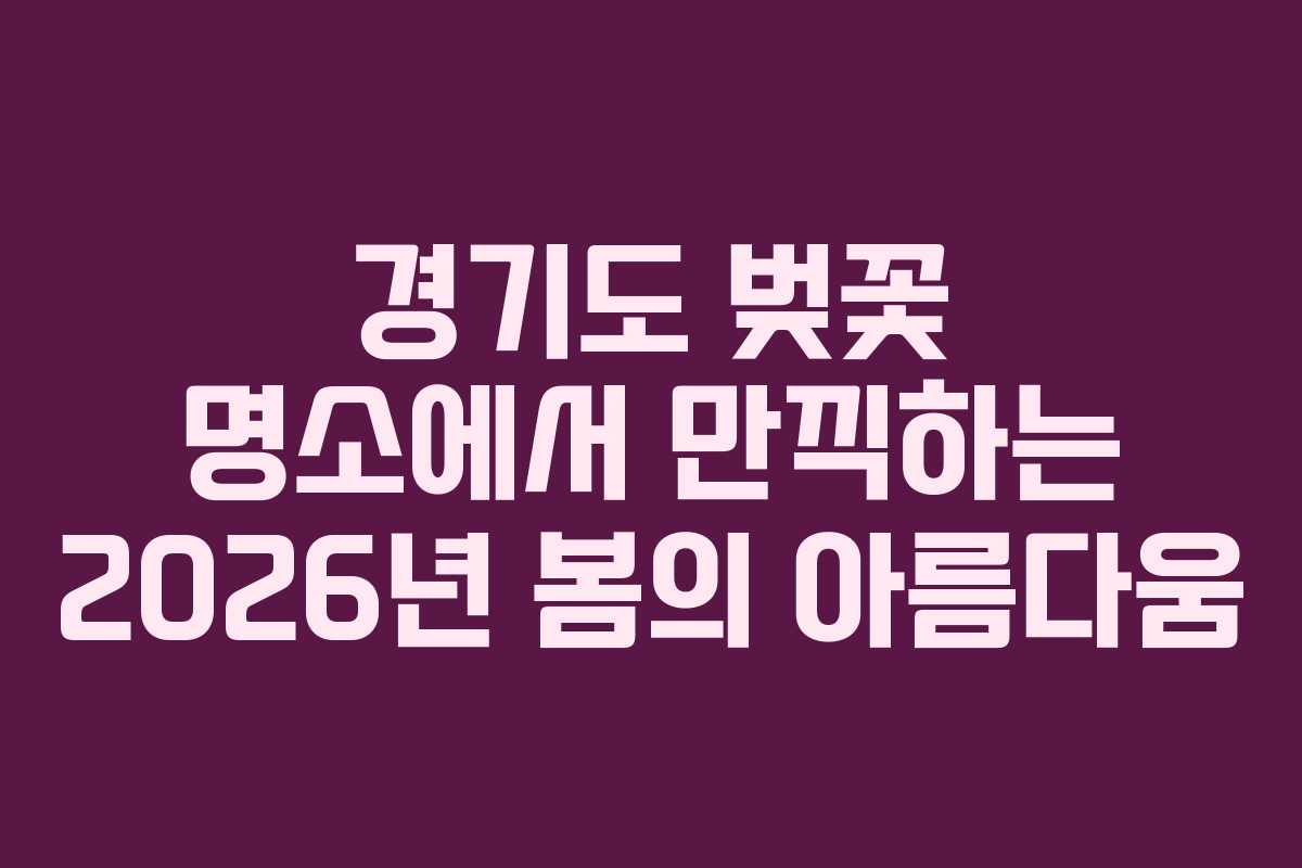 경기도 벚꽃 명소에서 만끽하는 2026년 봄의 아름다움
