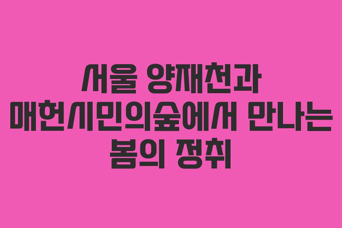 서울 양재천과 매헌시민의숲에서 만나는 봄의 정취