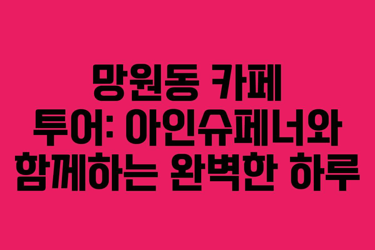 망원동 카페 투어: 아인슈페너와 함께하는 완벽한 하루