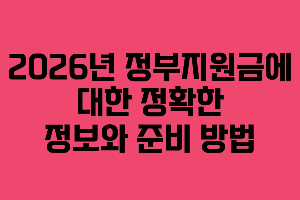 2026년 정부지원금에 대한 정확한 정보와 준비 방법