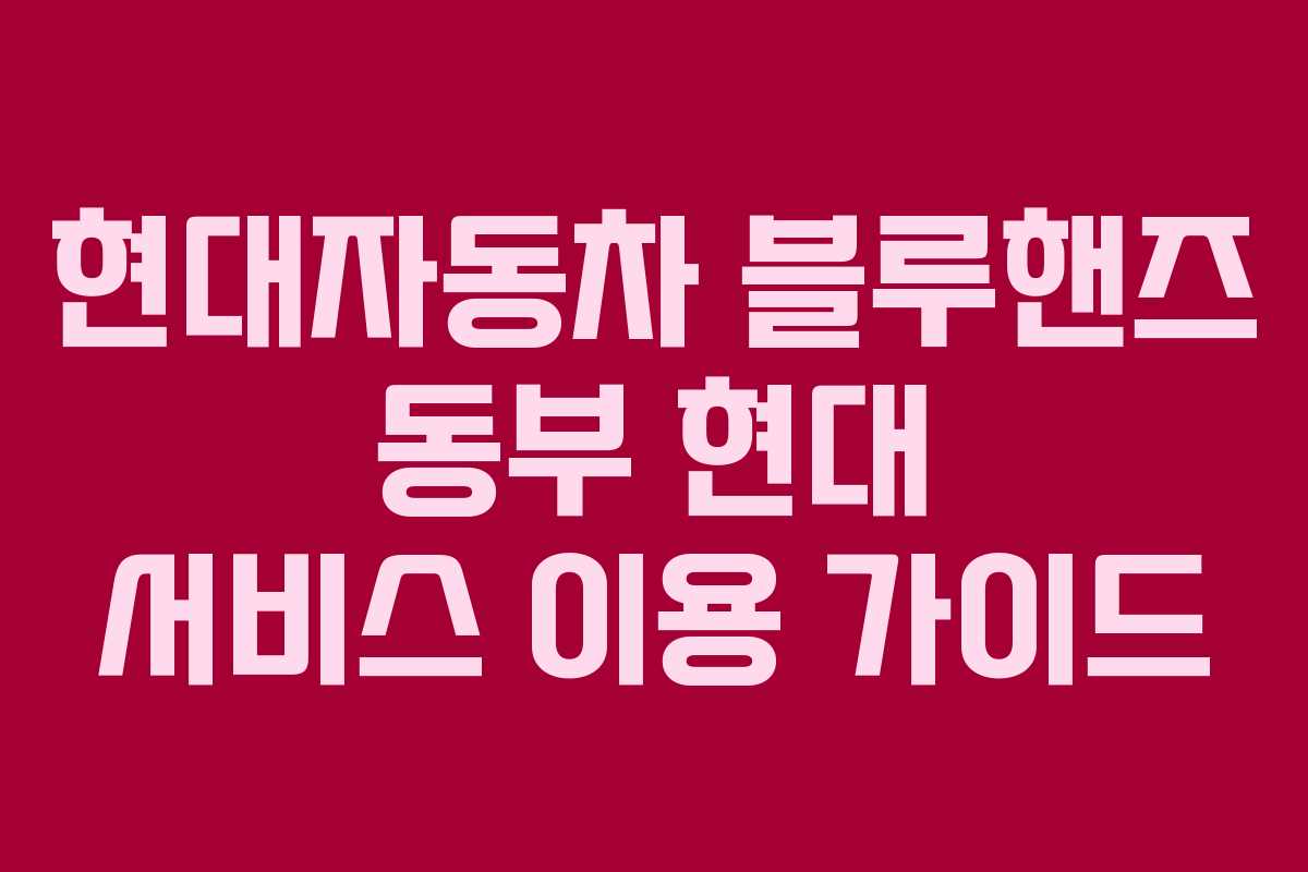현대자동차 블루핸즈 동부 현대 서비스 이용 가이드 현대자동차 블루핸즈 동부 현대 서비스 이용 가이드