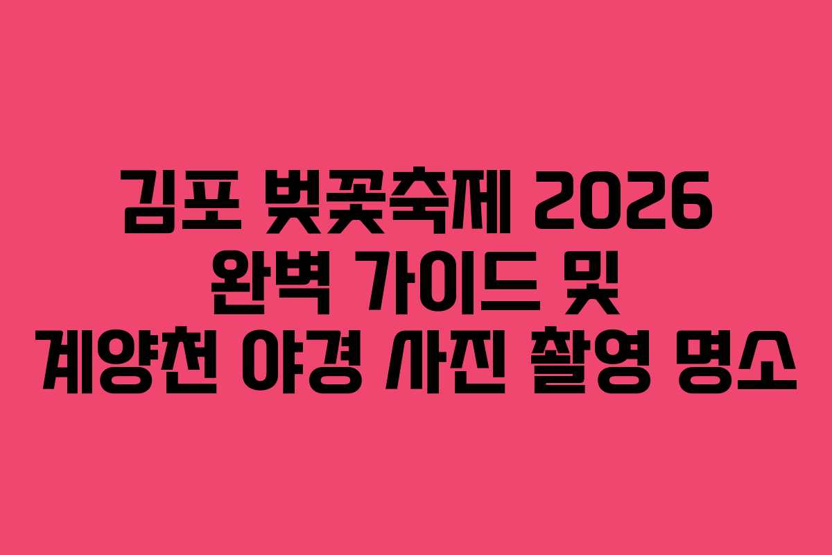 김포 벚꽃축제 2026 완벽 가이드 및 계양천 야경 사진 촬영 명소