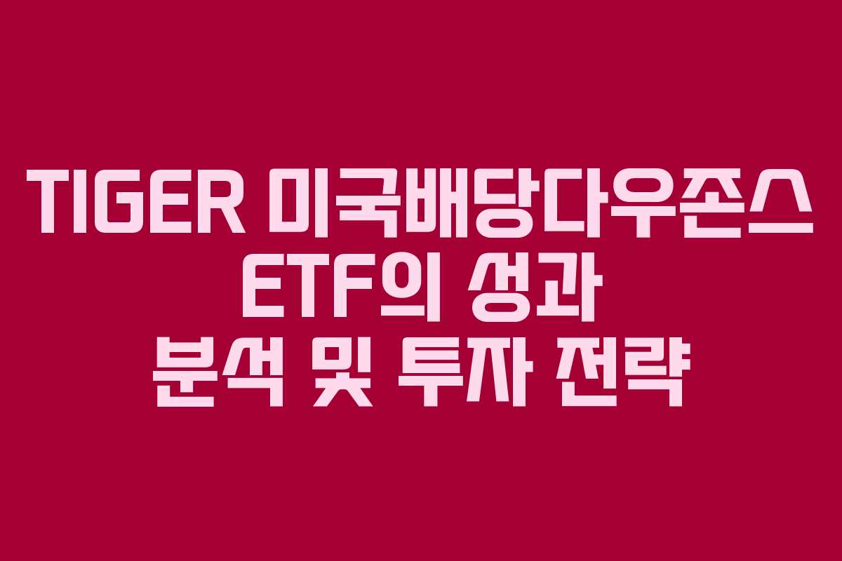 TIGER 미국배당다우존스 ETF의 성과 분석 및 투자 전략
