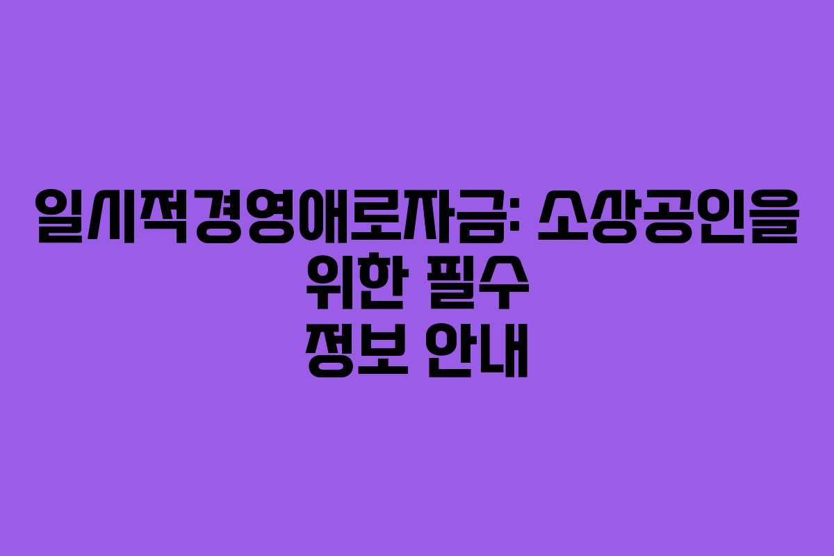 일시적경영애로자금: 소상공인을 위한 필수 정보 안내 일시적경영애로자금: 소상공인을 위한 필수 정보 안내