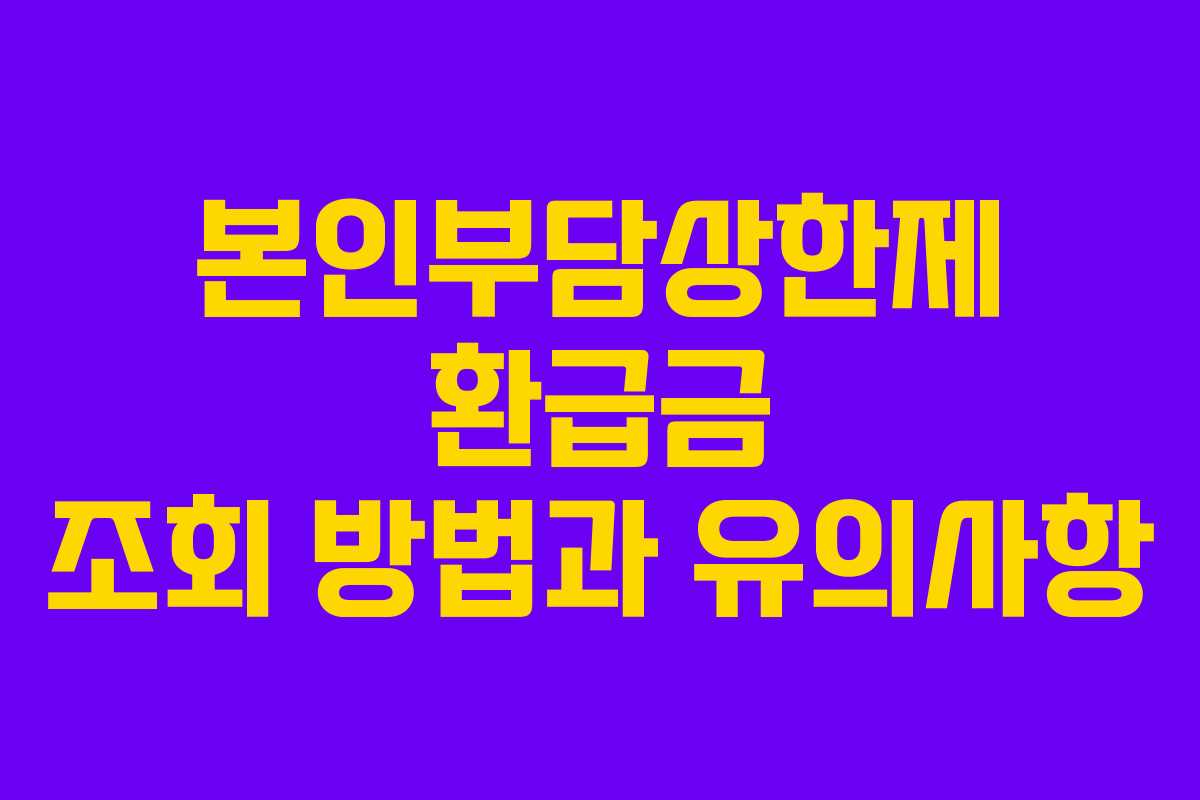 본인부담상한제 환급금 조회 방법과 유의사항 본인부담상한제 환급금 조회 방법과 유의사항