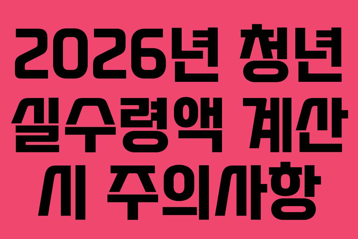 2026년 청년 실수령액 계산 시 주의사항