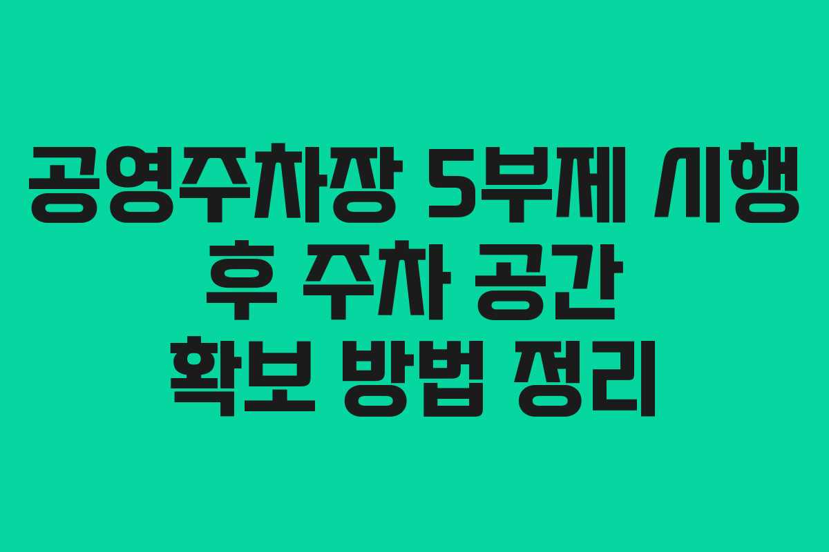 공영주차장 5부제 시행 후 주차 공간 확보 방법 정리