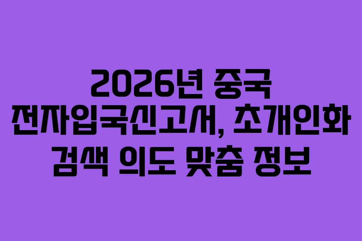 2026년 중국 전자입국신고서, 초개인화 검색 의도 맞춤 정보