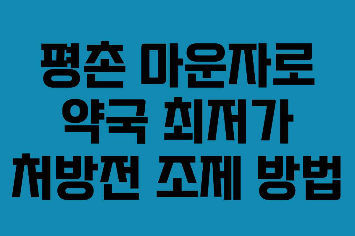 평촌 마운자로 약국 최저가 처방전 조제 방법