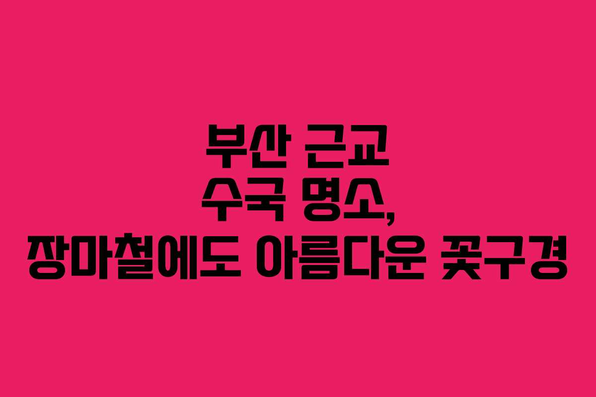 부산 근교 수국 명소, 장마철에도 아름다운 꽃구경
