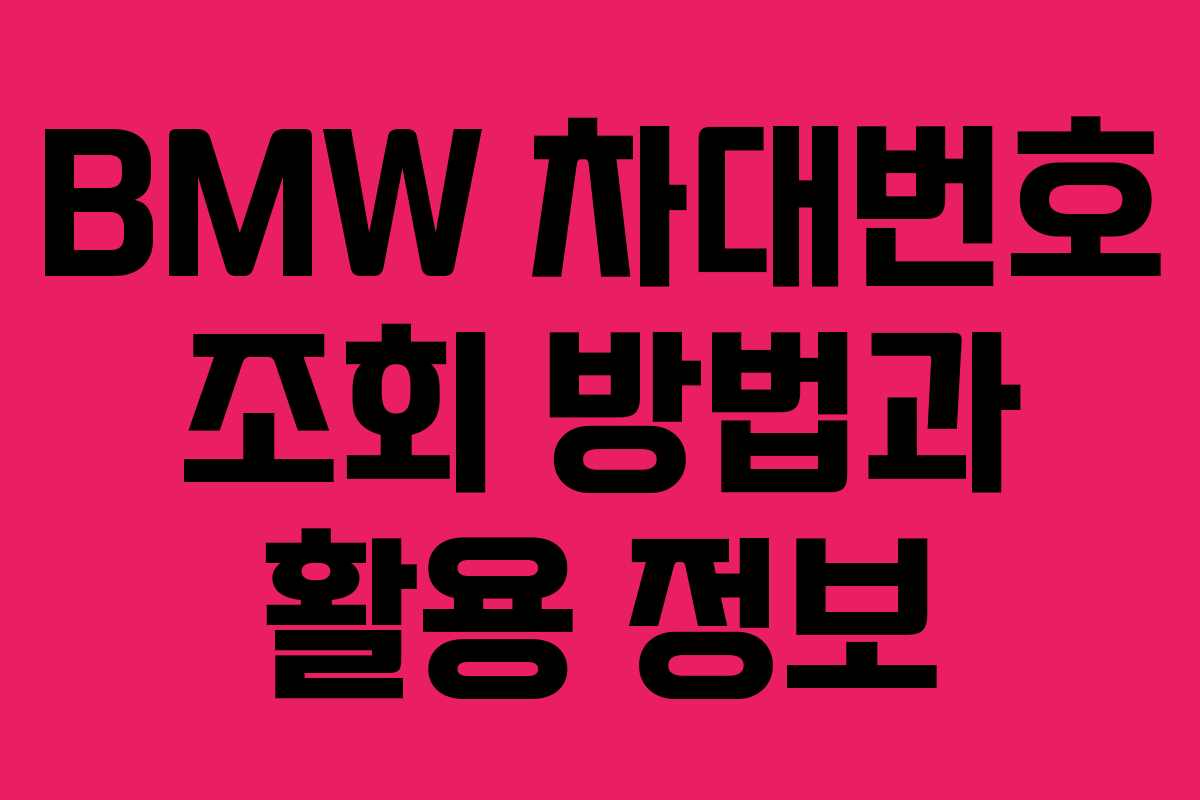 BMW 차대번호 조회 방법과 활용 정보