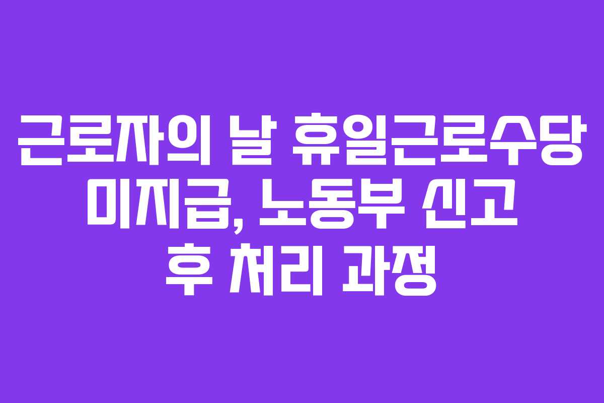근로자의 날 휴일근로수당 미지급, 노동부 신고 후 처리 과정