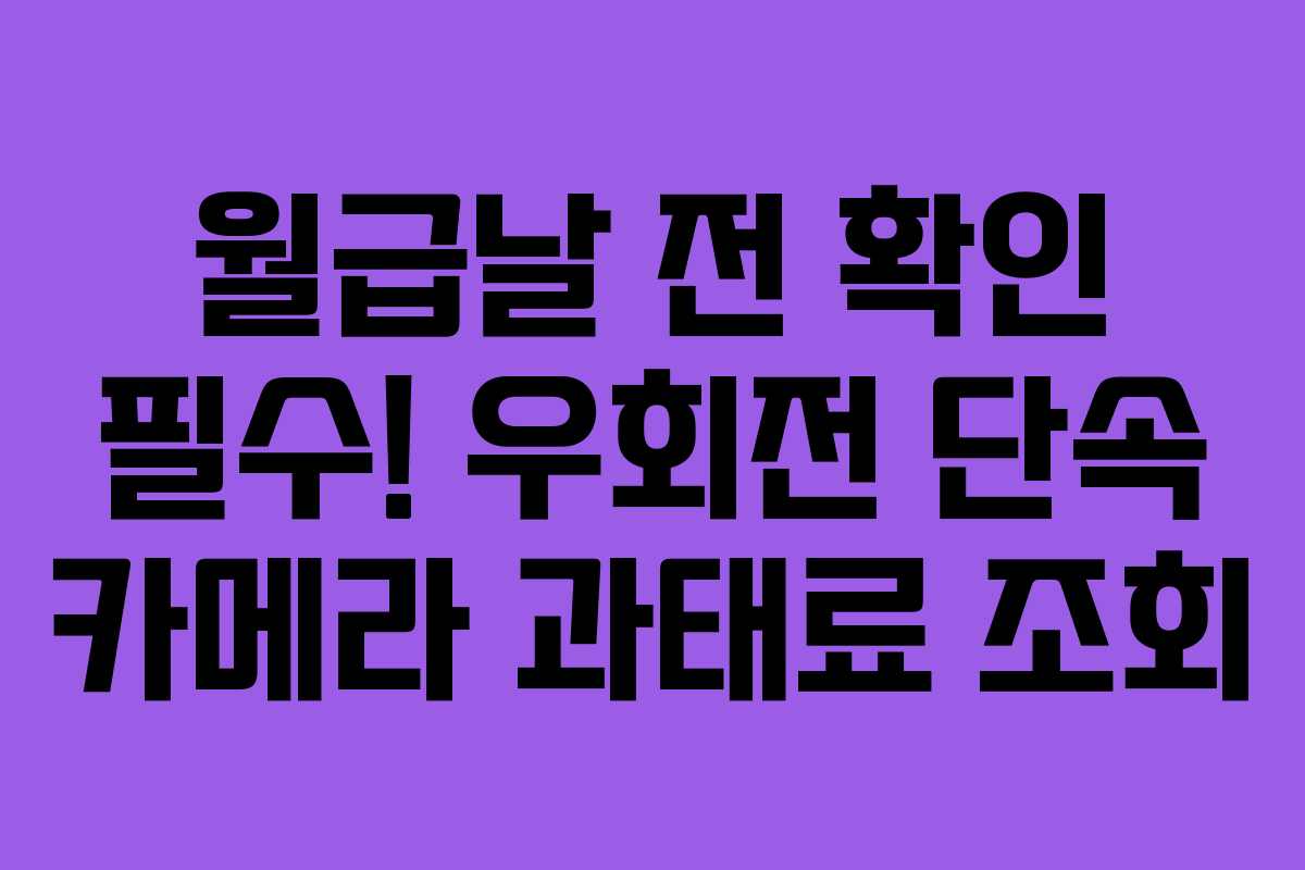월급날 전 확인 필수! 우회전 단속 카메라 과태료 조회