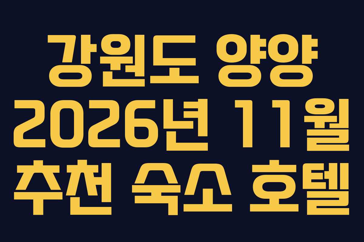 강원도 양양 2026년 11월 추천 숙소 호텔