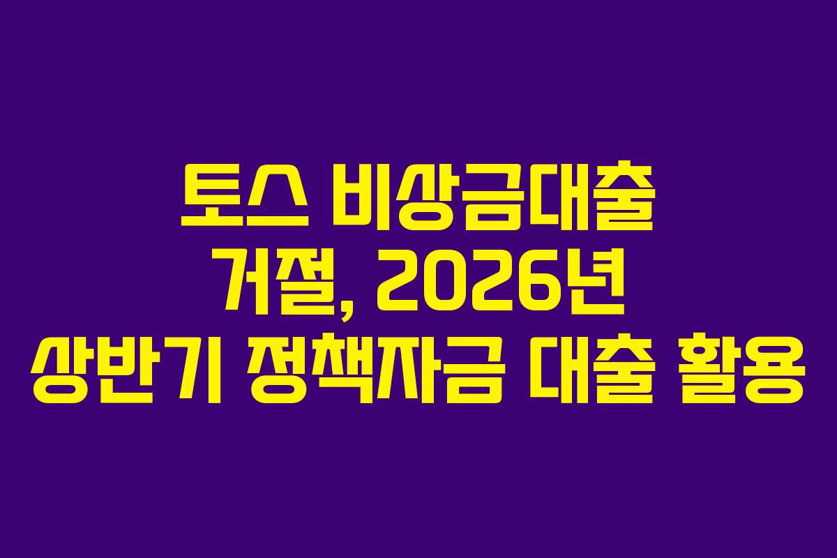 토스 비상금대출 거절, 2026년 상반기 정책자금 대출 활용