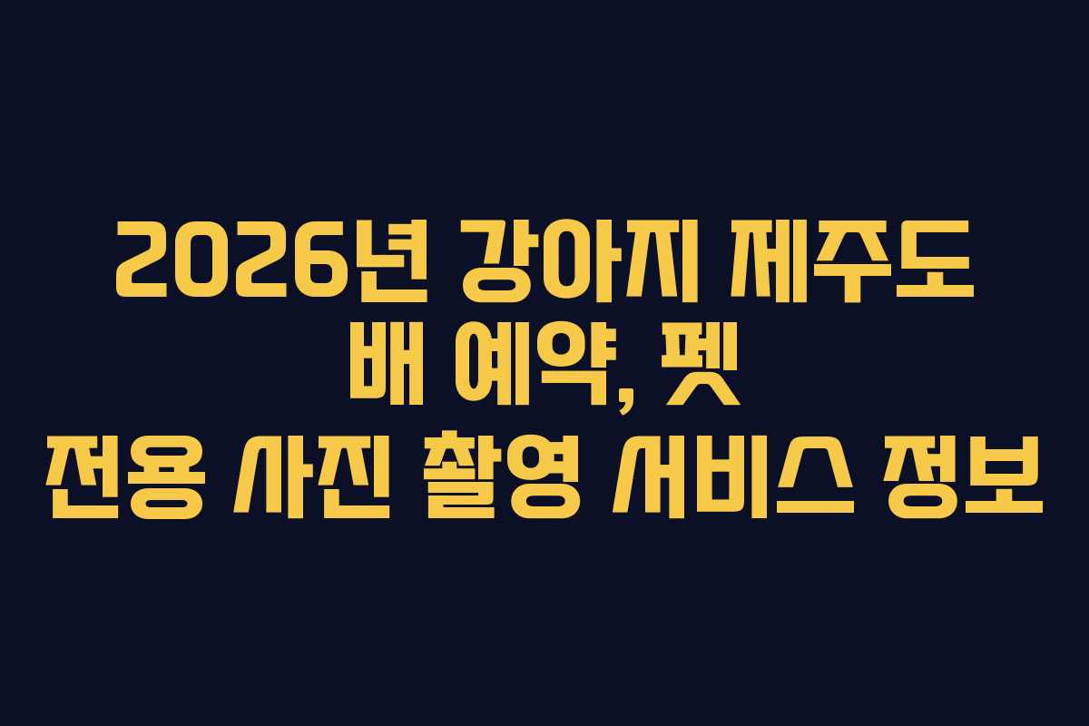 2026년 강아지 제주도 배 예약, 펫 전용 사진 촬영 서비스 정보