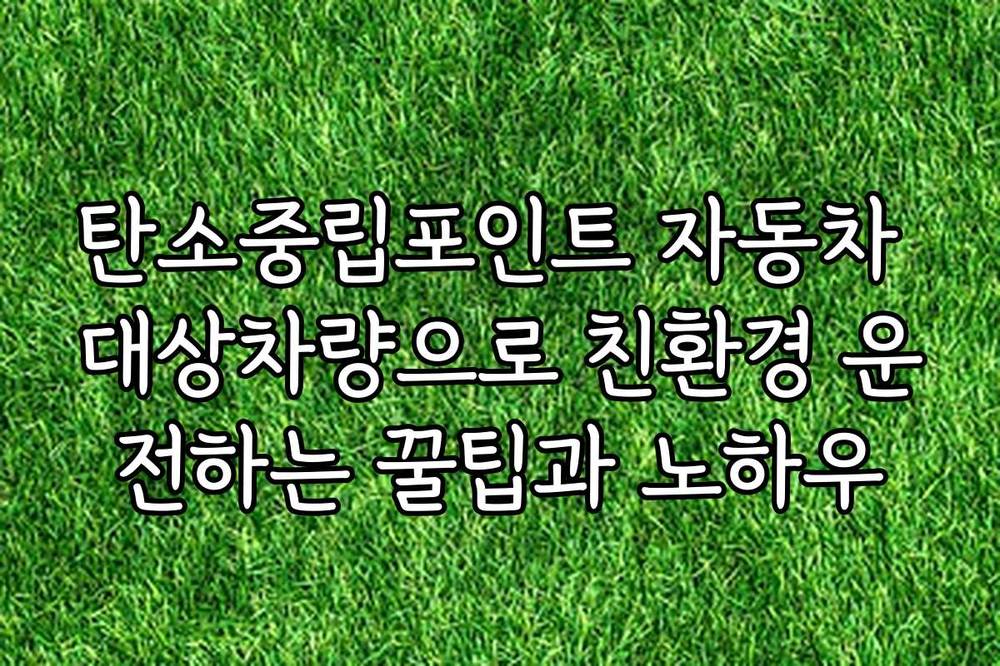 탄소중립포인트 자동차 대상차량으로 친환경 운전하는 꿀팁과 노하우
