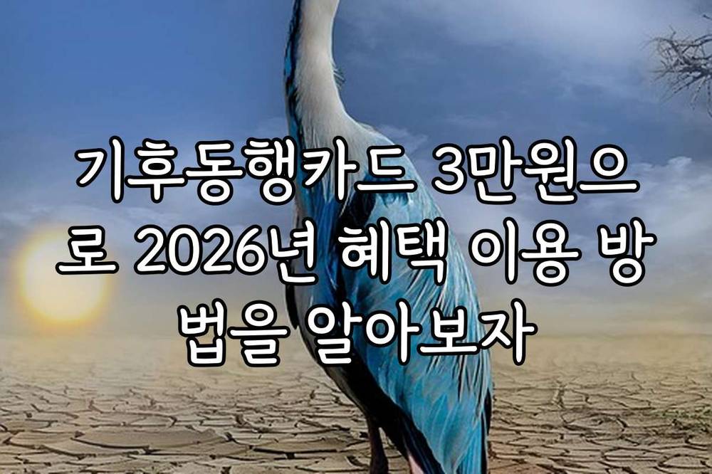 기후동행카드 3만원으로 2026년 혜택 이용 방법을 알아보자