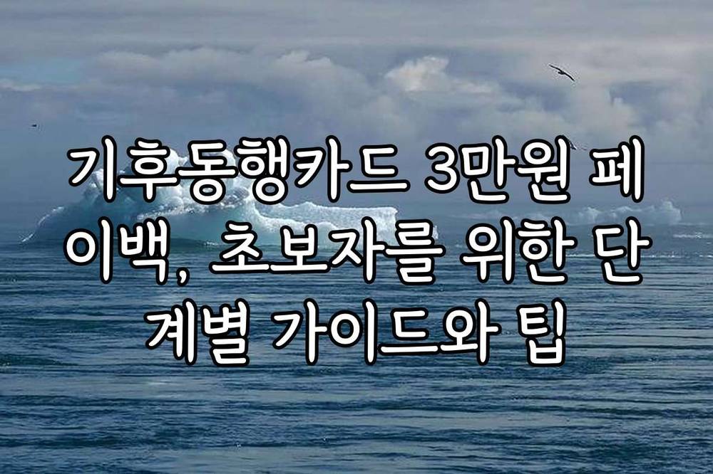 기후동행카드 3만원 페이백, 초보자를 위한 단계별 가이드와 팁