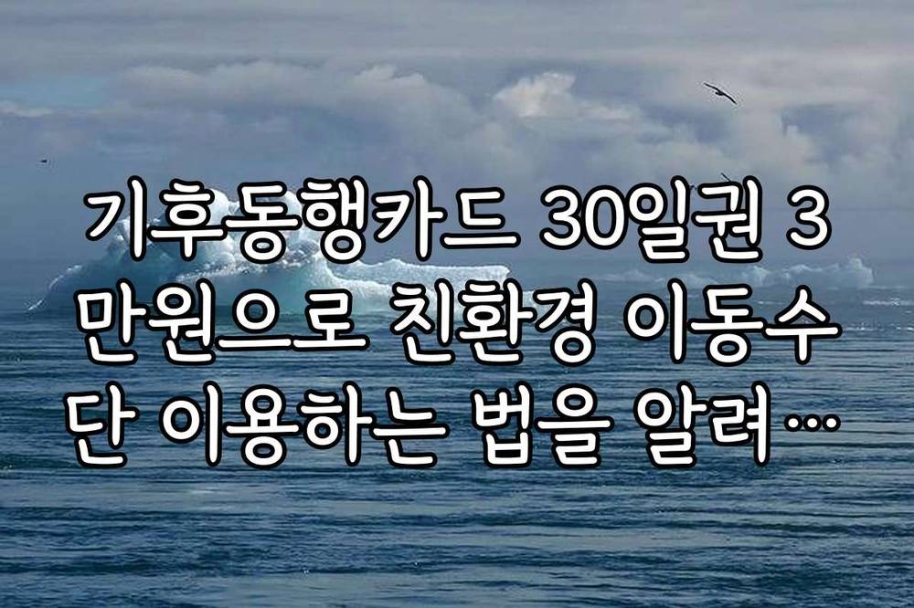 기후동행카드 30일권 3만원으로 친환경 이동수단 이용하는 법을 알려드립니다
