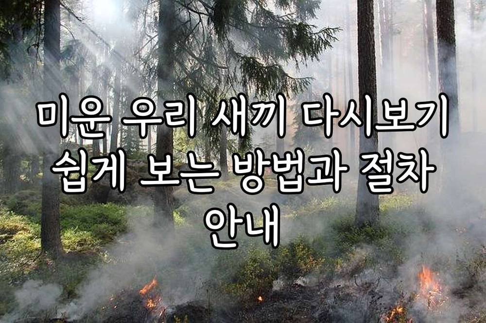 미운 우리 새끼 다시보기 쉽게 보는 방법과 절차 안내