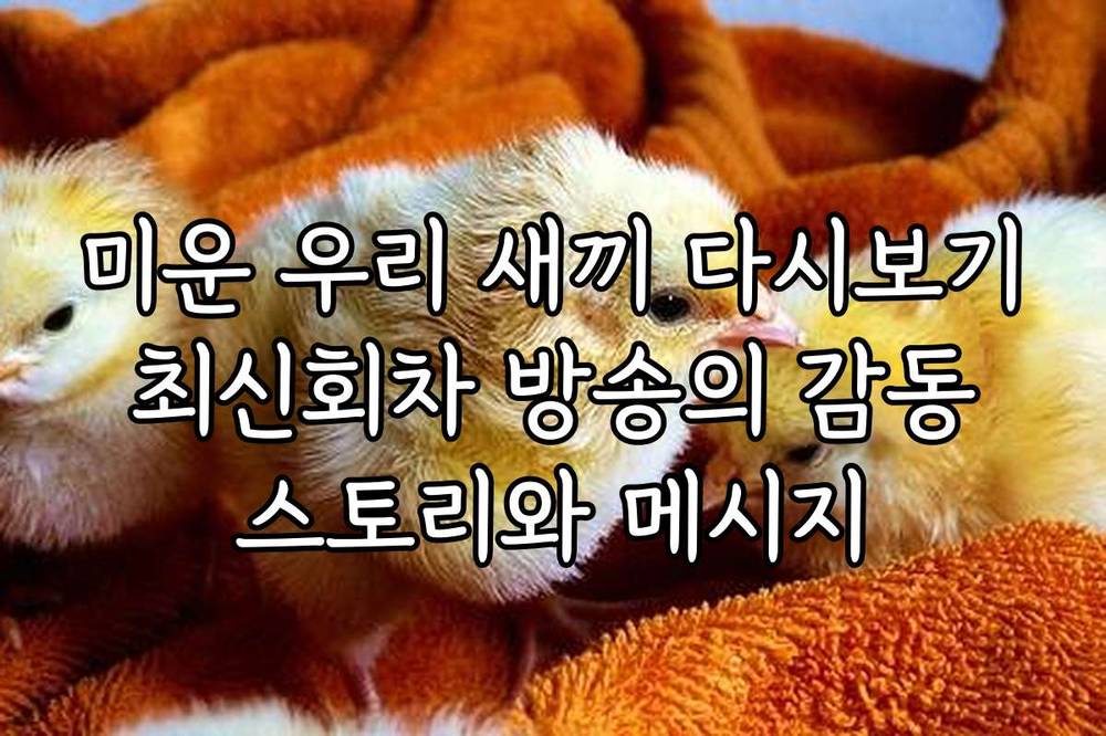 미운 우리 새끼 다시보기 최신회차 방송의 감동 스토리와 메시지