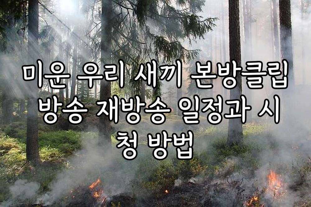 미운 우리 새끼 본방클립 방송 재방송 일정과 시청 방법