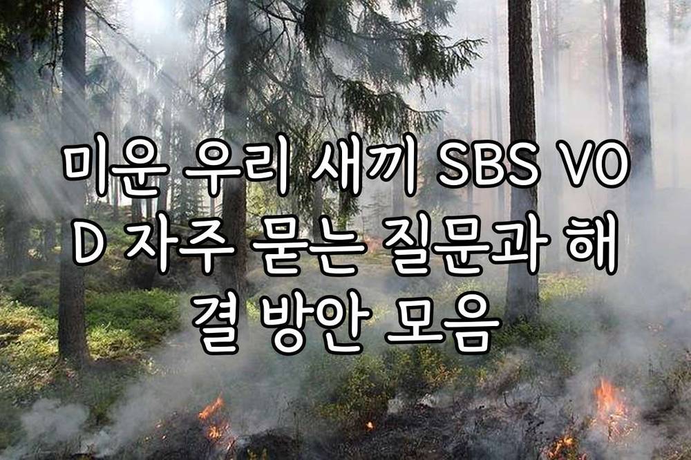 미운 우리 새끼 SBS VOD 자주 묻는 질문과 해결 방안 모음