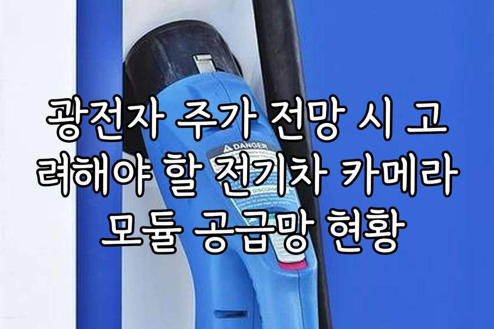 광전자 주가 전망 시 고려해야 할 전기차 카메라 모듈 공급망 현황