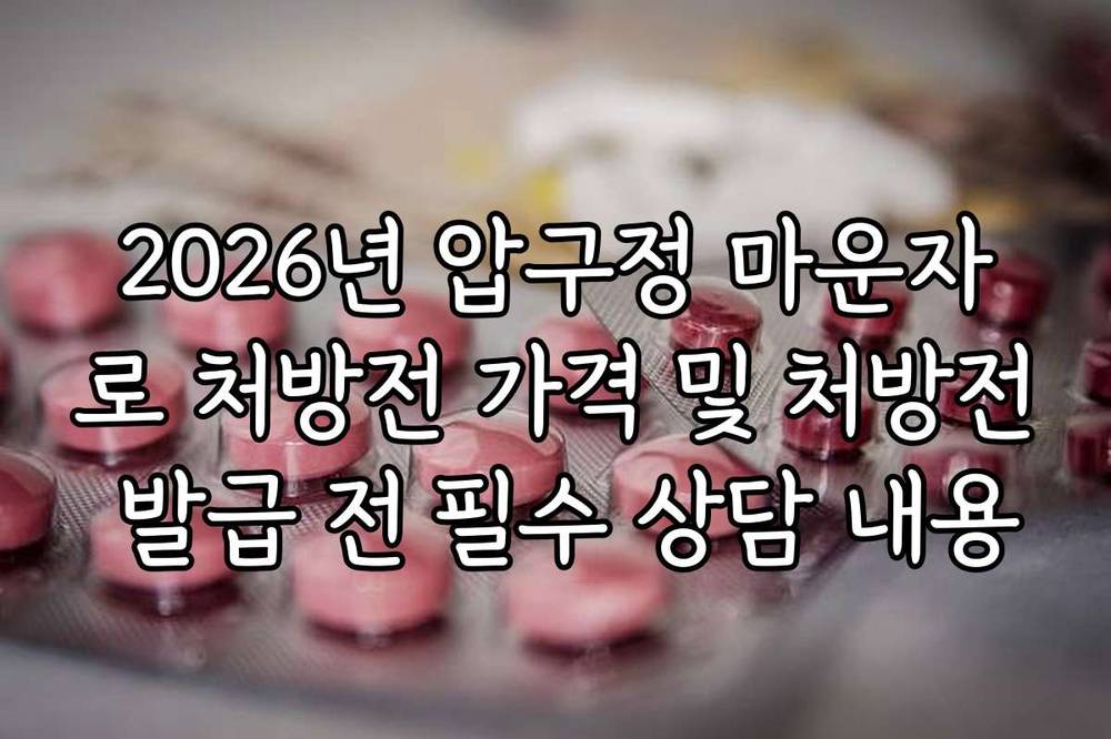 2026년 압구정 마운자로 처방전 가격 및 처방전 발급 전 필수 상담 내용