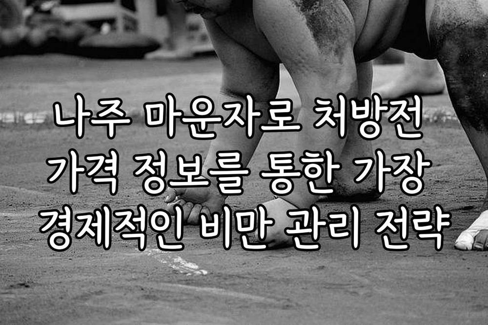 나주 마운자로 처방전 가격 정보를 통한 가장 경제적인 비만 관리 전략
