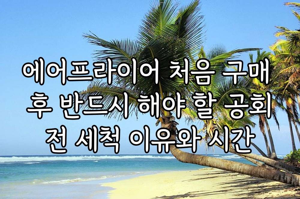 에어프라이어 처음 구매 후 반드시 해야 할 공회전 세척 이유와 시간