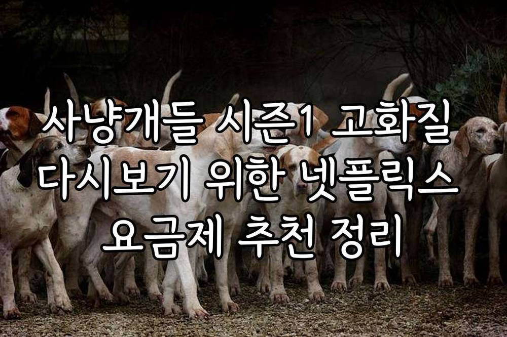 사냥개들 시즌1 고화질 다시보기 위한 넷플릭스 요금제 추천 정리