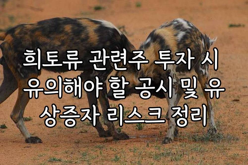 희토류 관련주 투자 시 유의해야 할 공시 및 유상증자 리스크 정리