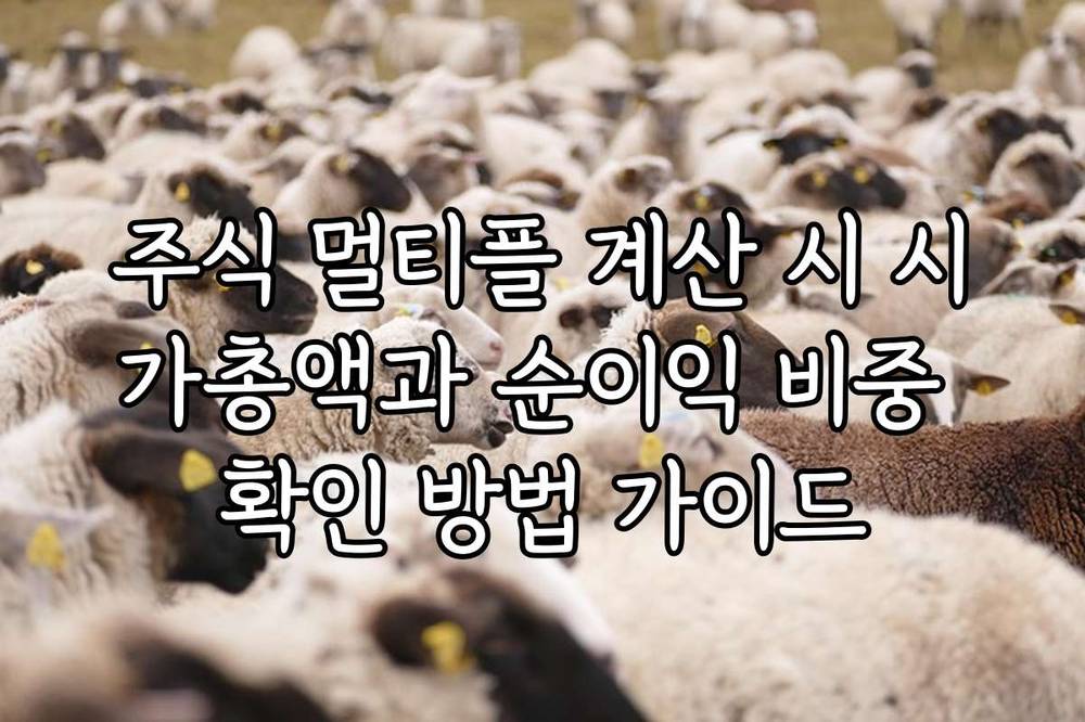 주식 멀티플 계산 시 시가총액과 순이익 비중 확인 방법 가이드