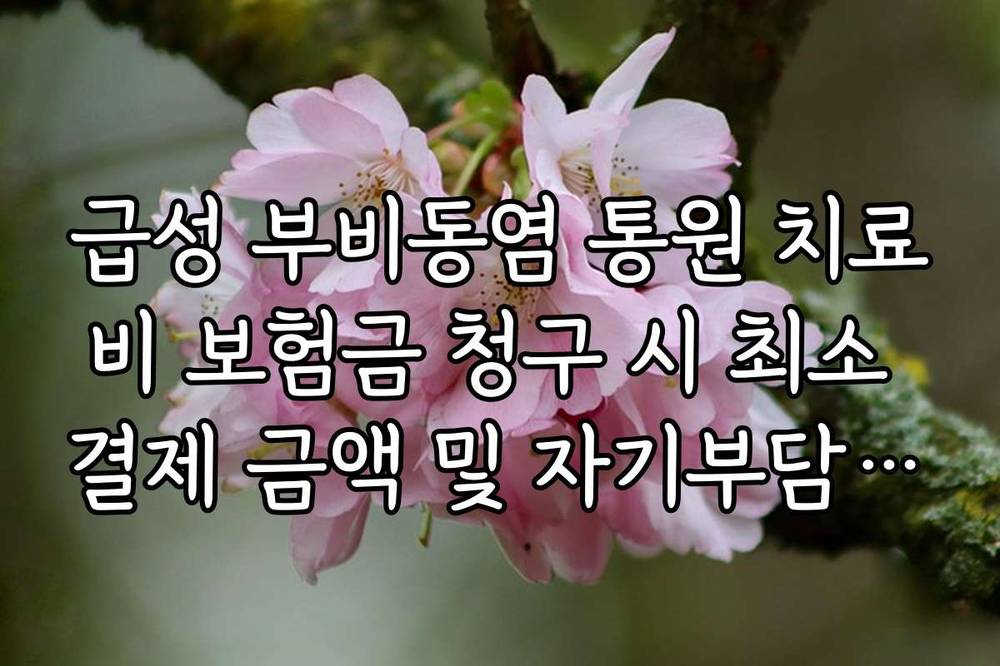 급성 부비동염 통원 치료비 보험금 청구 시 최소 결제 금액 및 자기부담금 확인법
