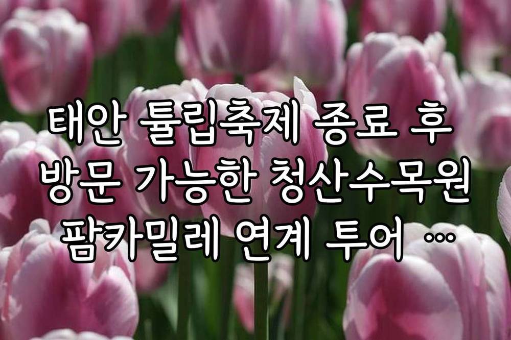 태안 튤립축제 종료 후 방문 가능한 청산수목원 팜카밀레 연계 투어 가이드