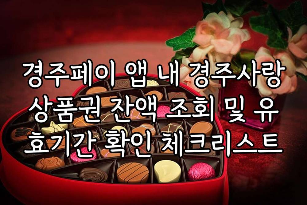 경주페이 앱 내 경주사랑상품권 잔액 조회 및 유효기간 확인 체크리스트