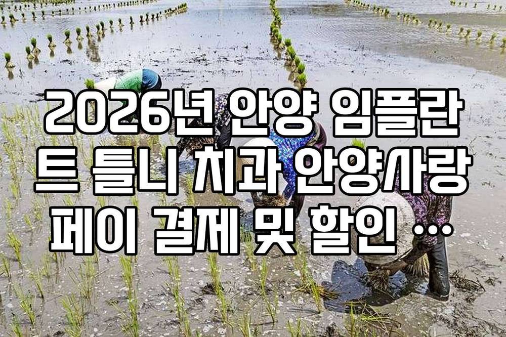 2026년 안양 임플란트 틀니 치과 안양사랑페이 결제 및 할인 적용 방법