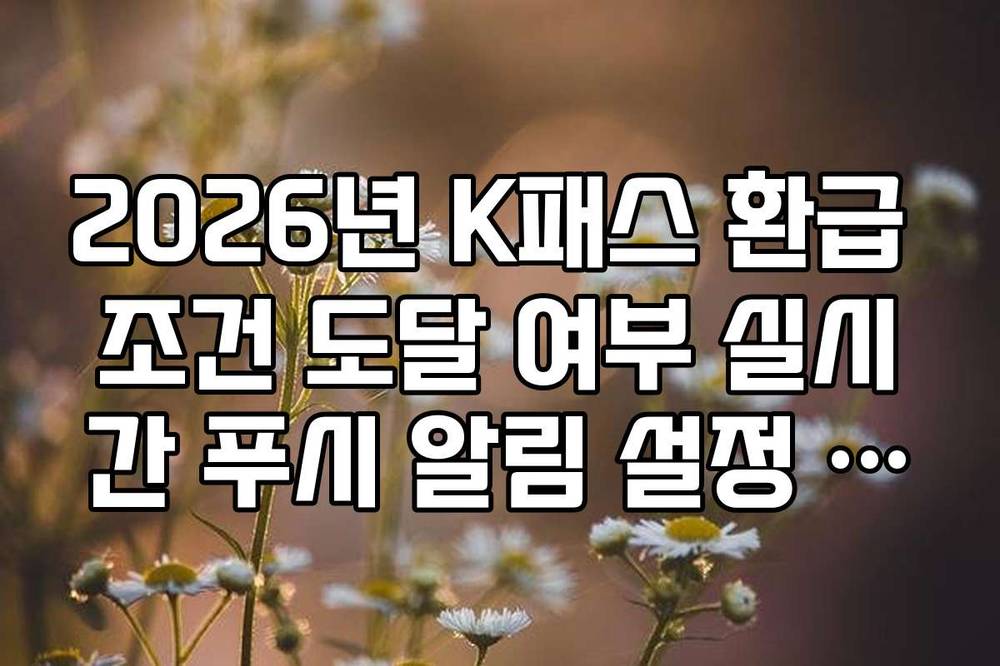 2026년 K패스 환급 조건 도달 여부 실시간 푸시 알림 설정 방법 가이드